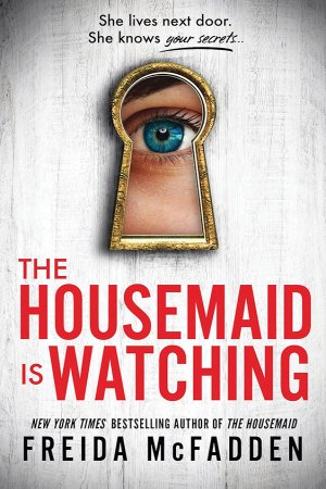The Housemaid is Watching (Book 3)